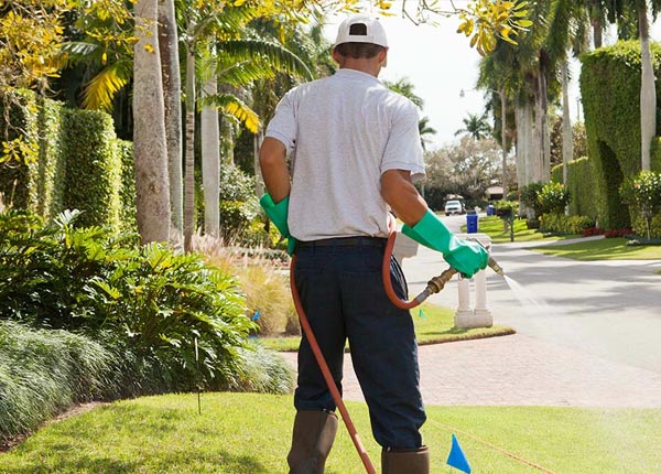 About Tuckerton NJ Pest Control Pros